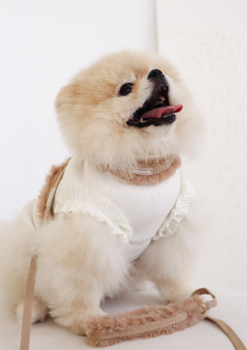 Haute H-Harness, Leash and Poop bag set