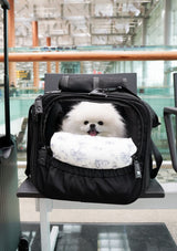 Pet Porter Carrier (Airline Compliant)