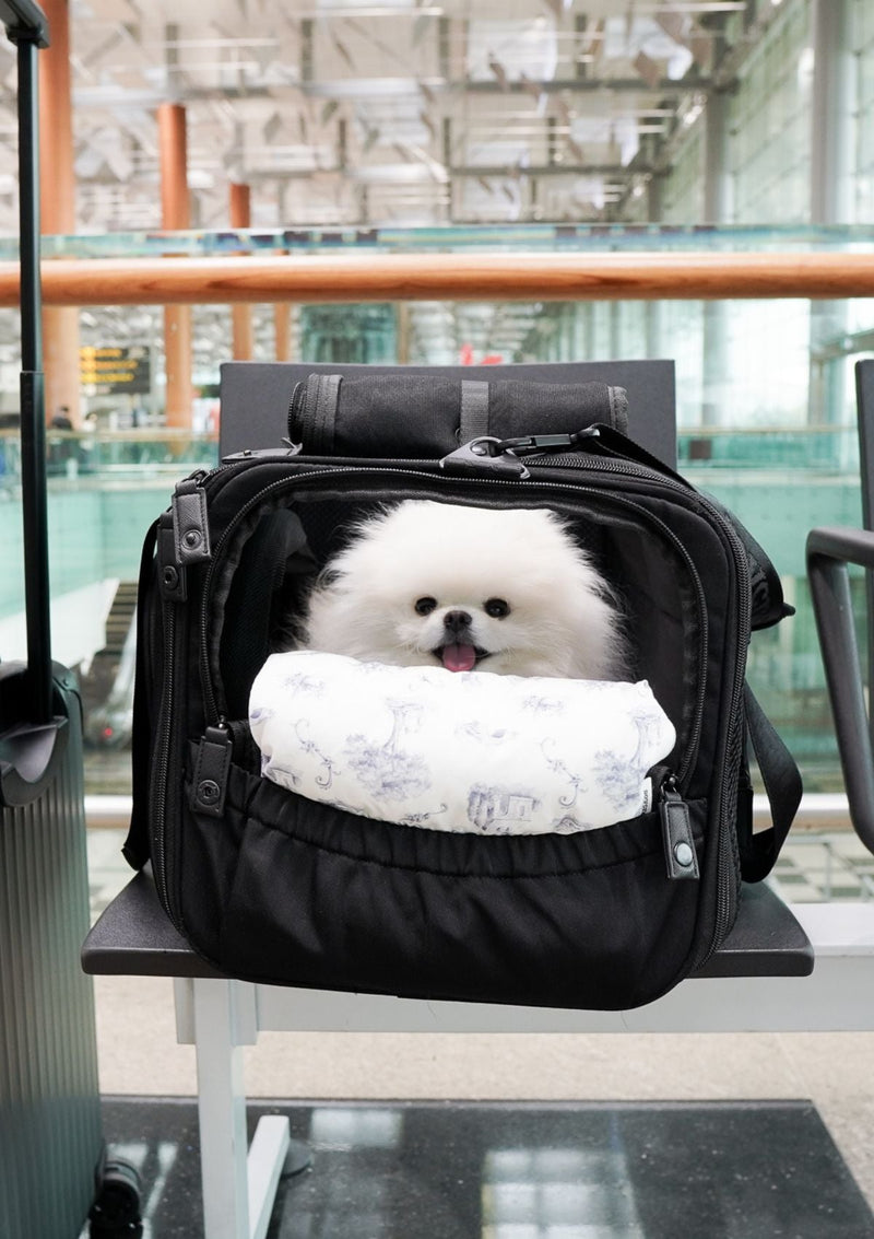 Dog porter outlet