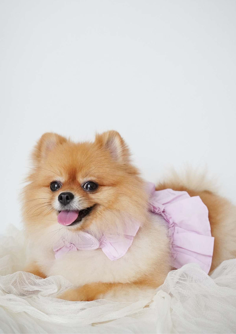 Yeppo Dress Harness
