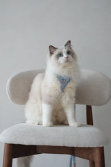 Fruité Edit: Harness and Leash Set