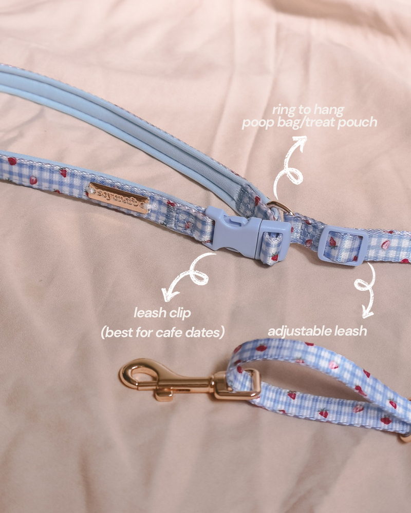 Fruité Edit: Harness and Leash Set