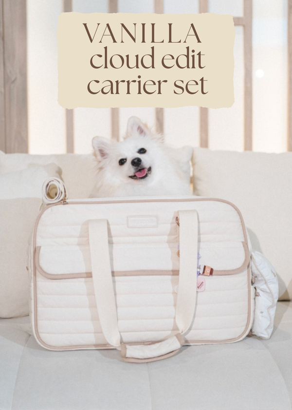 Dog in a vanilla pet carrier with 'Vanilla cloud edit carrier set' text above.