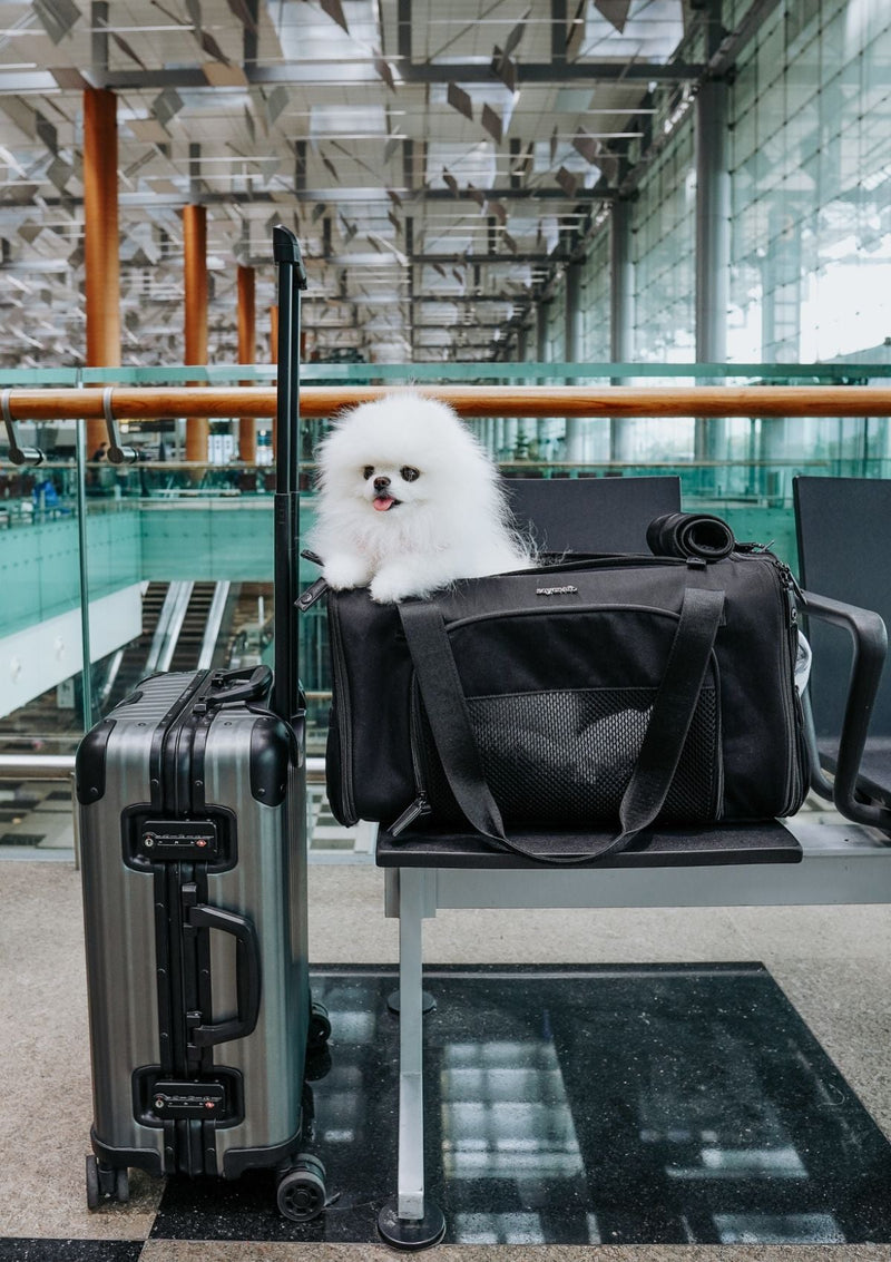 Pet Porter Carrier (Airline Compliant)