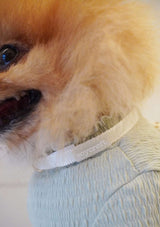 Lolly H-Harness & Leash (3 colours)