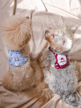 Fruité Edit: Harness and Leash Set