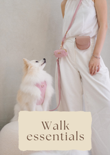 Walk Essentials Kit