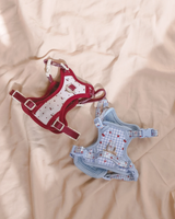 Fruité Edit: Harness and Leash Set