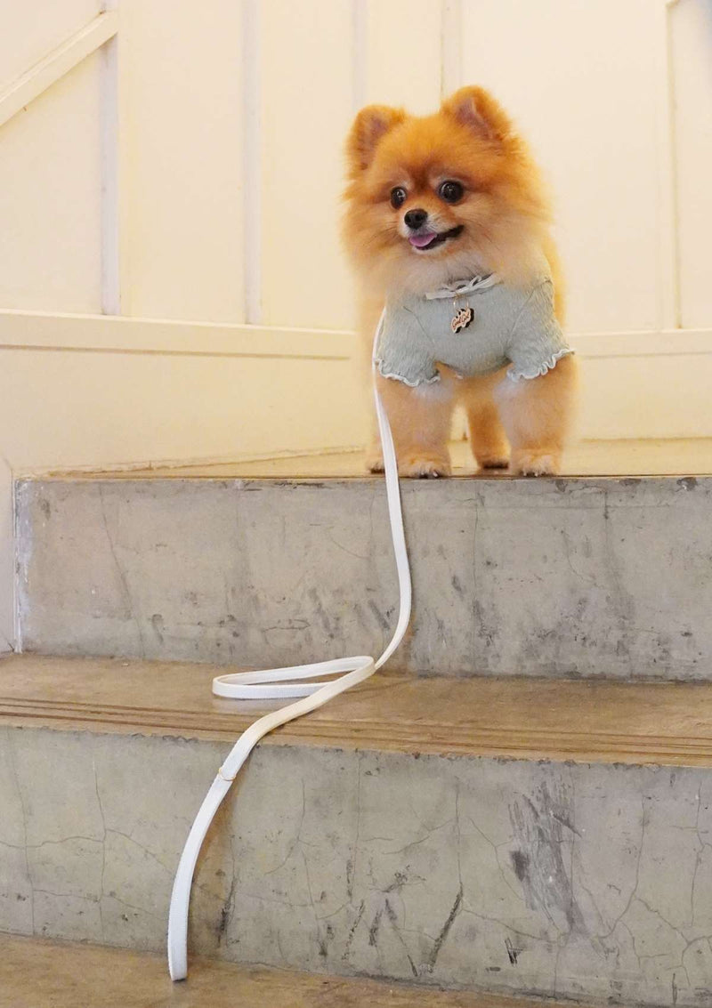 Lolly H-Harness + Leash