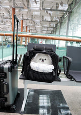 Pet Porter Carrier (Airline Compliant)