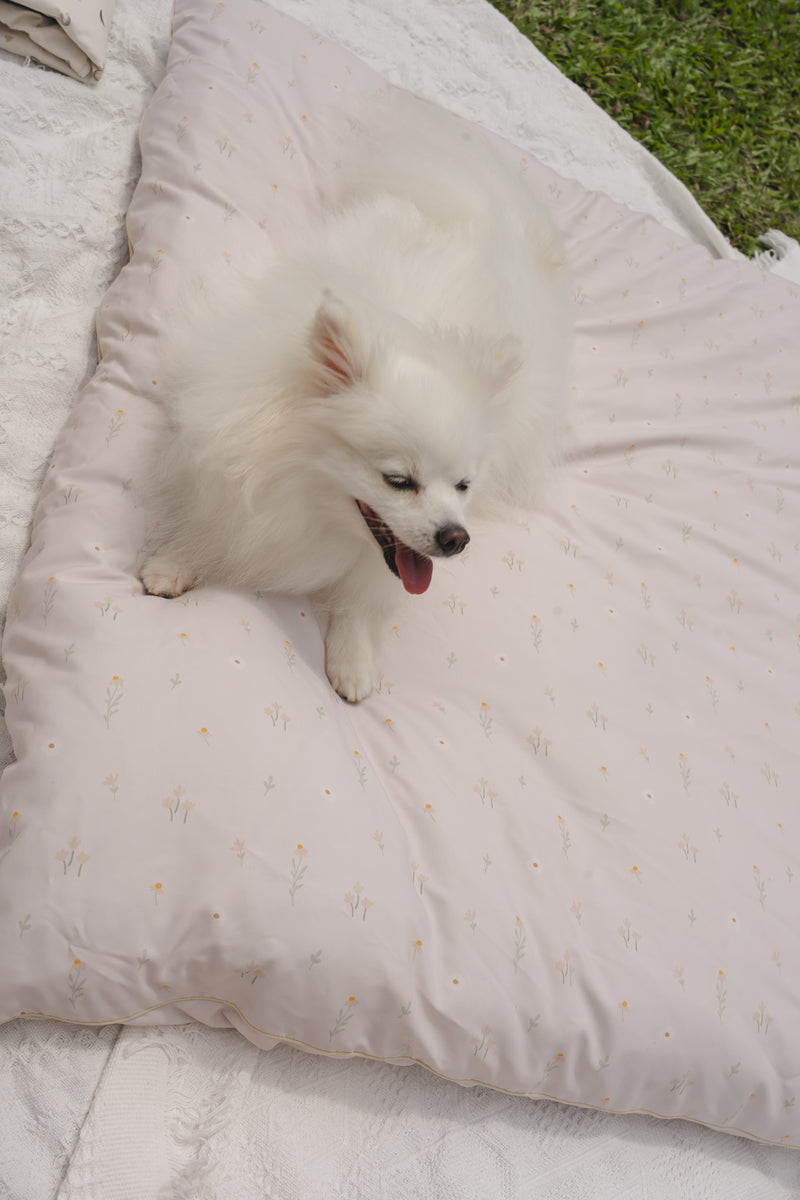 Yume Bed (Size L)