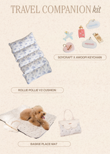 Travel Companion Kit