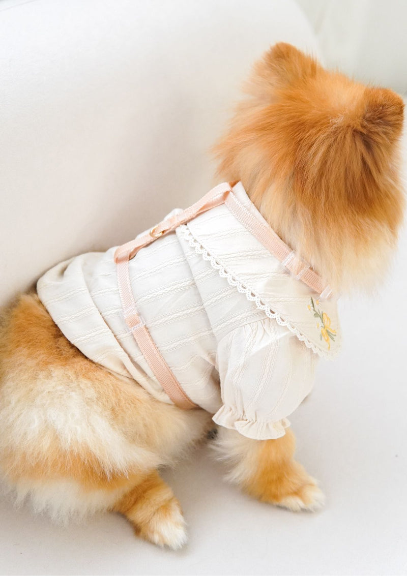 Naked H-Harness