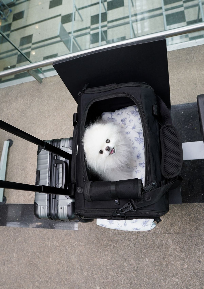 Pet Porter Carrier (Airline Compliant)