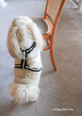 Haute H-Harness, Leash and Poop bag set