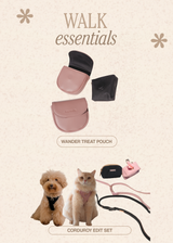 Walk Essentials Kit