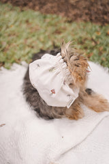 Ahjuma Pet Snood
