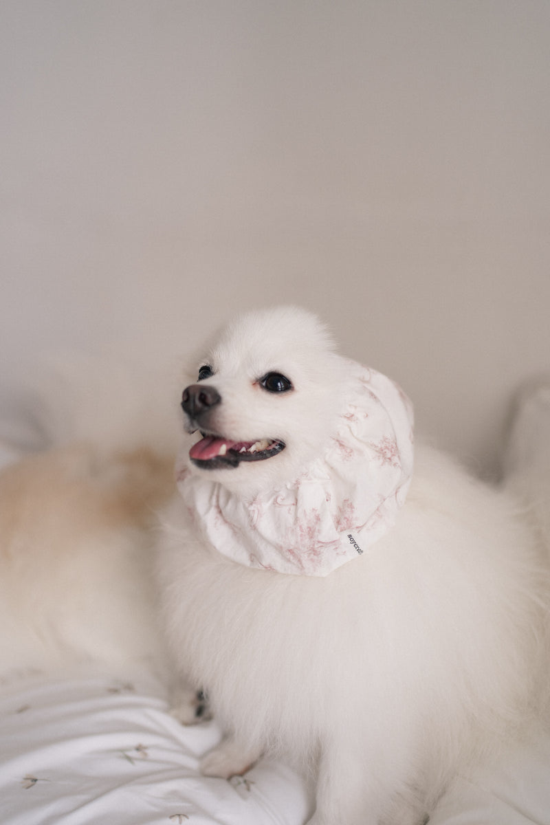 Ahjuma Pet Snood