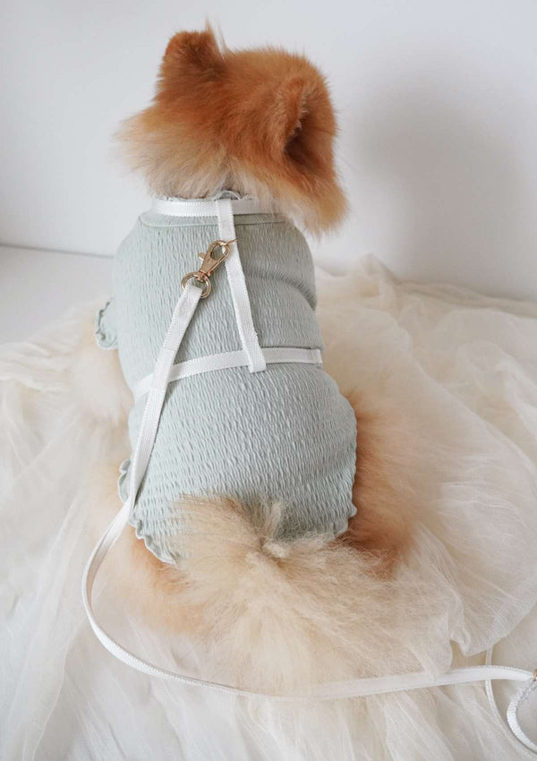 Lolly H-Harness & Leash (3 colours)