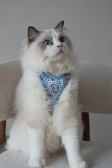 Fruité Edit: Harness and Leash Set