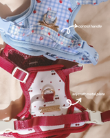 Fruité Edit: Harness and Leash Set