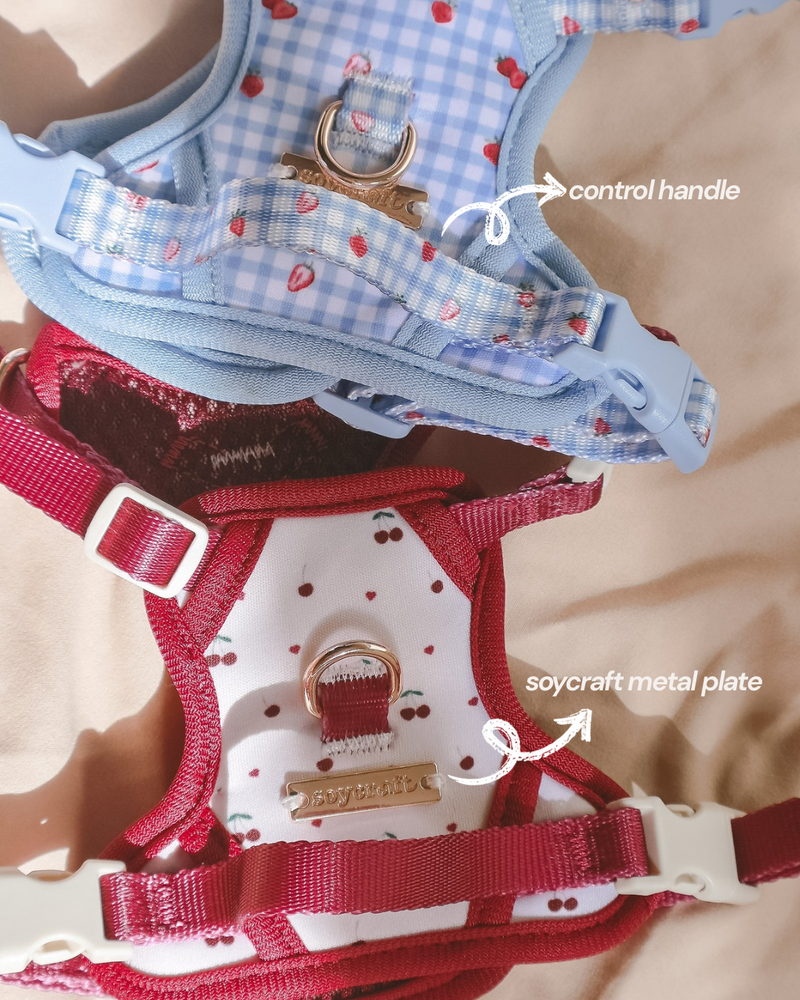 Fruité Edit: Harness and Leash Set