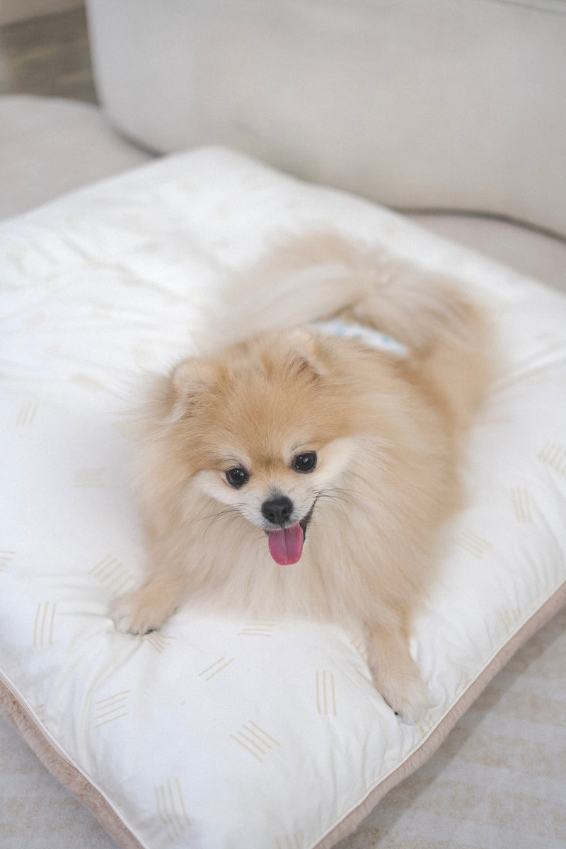 Yume Bed (Size L)