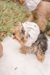 Ahjuma Pet Snood