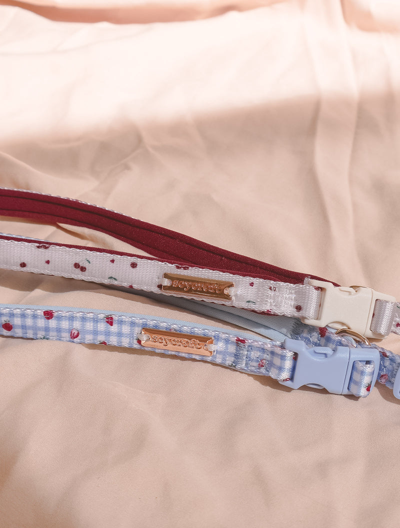 Fruité Edit: Harness and Leash Set