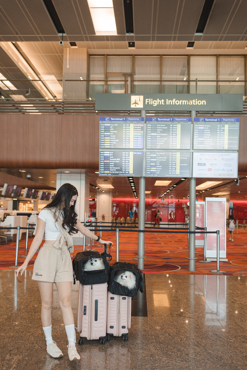 Wandering Paws Travel Kit