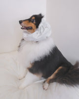 Ahjuma Pet Snood