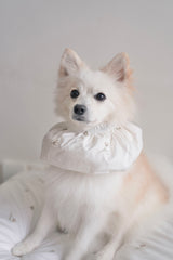 Ahjuma Pet Snood
