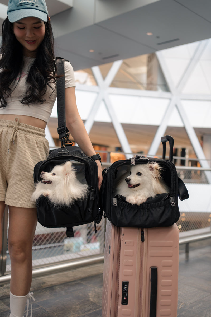 Wandering Paws Travel Kit