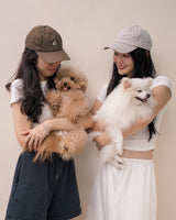 The Cat Pawrent Bundle