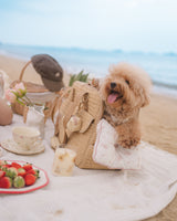 Soleil Woven Pet Carrier (size S)