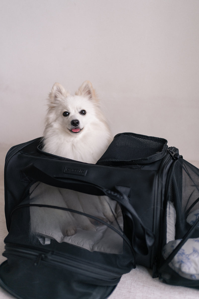 Pet Porter V2 Carrier (Airline Compliant)