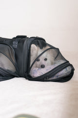 Pet Porter V2 Carrier (Airline Compliant)