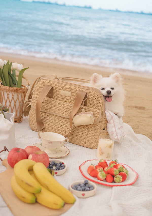Soleil Woven Pet Carrier (size S)