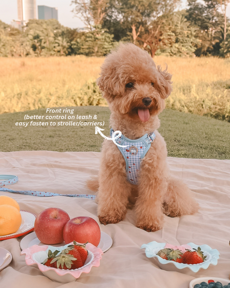 Fruité Edit: Harness and Leash Set