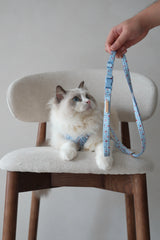 Fruité Edit: Harness and Leash Set