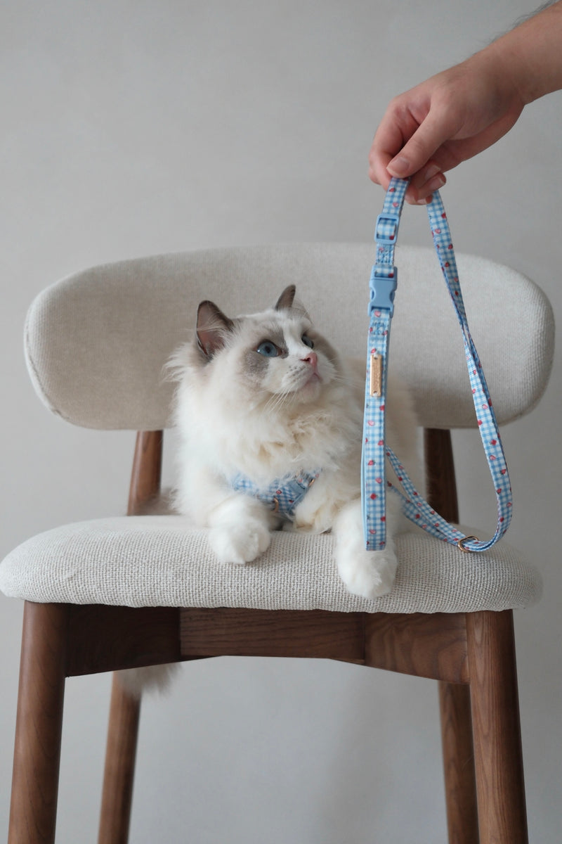 Fruité Edit: Harness and Leash Set