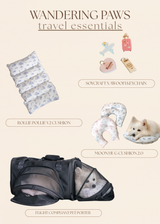 Travel Essentials Kit