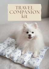 Travel Companion Kit
