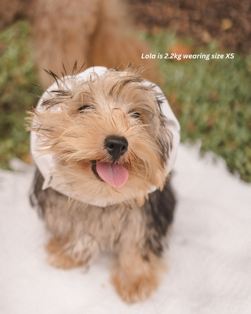 Ahjuma Pet Snood