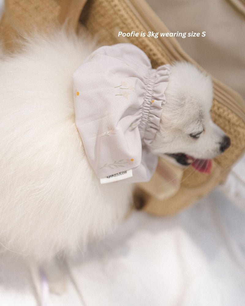 Ahjuma Pet Snood