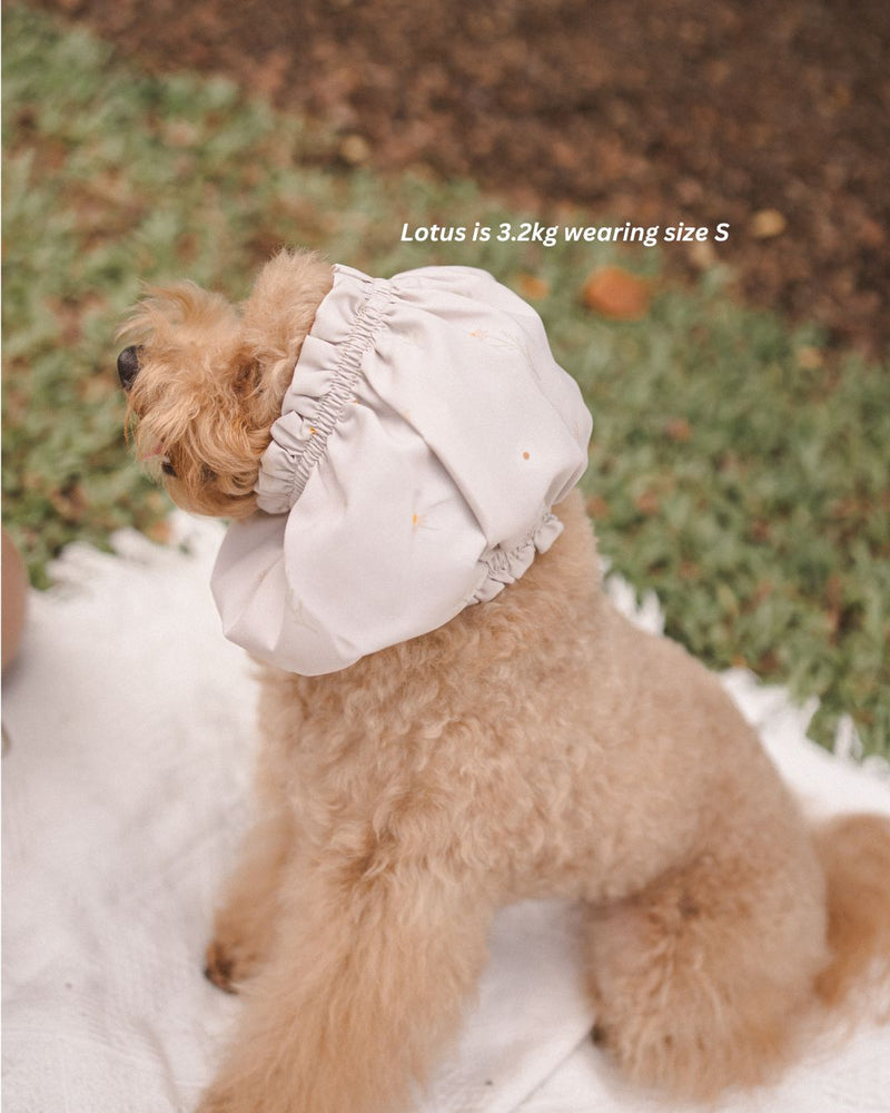 Ahjuma Pet Snood
