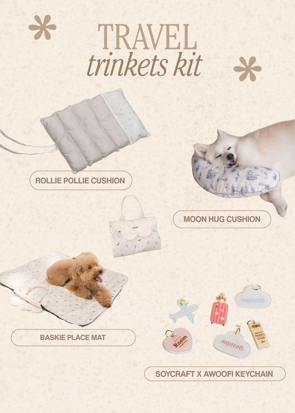 Travel Trinkets Kit
