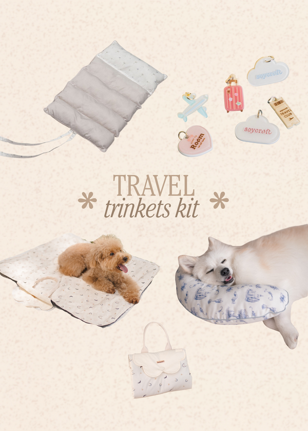 Travel Trinkets Kit