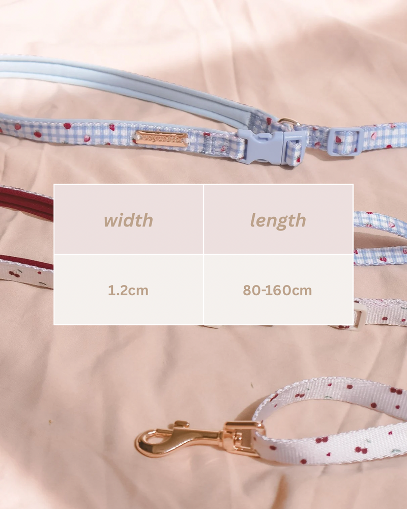 Fruité Edit: Harness and Leash Set