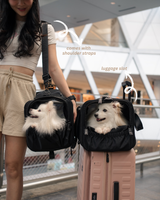 Pet Porter V2 Carrier (Airline Compliant)